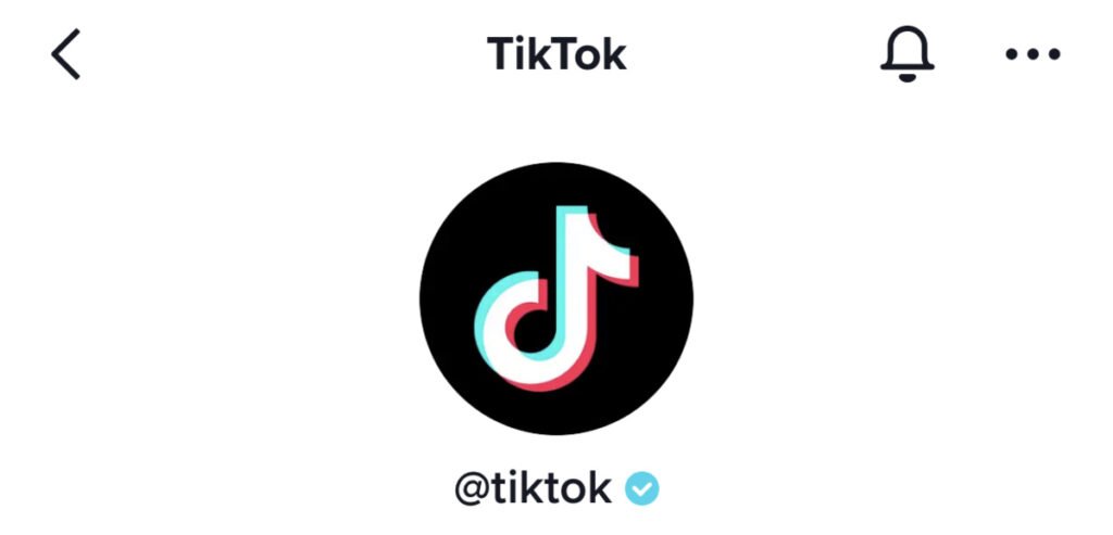 Tools and Apps for TikTok Private Account Viewer