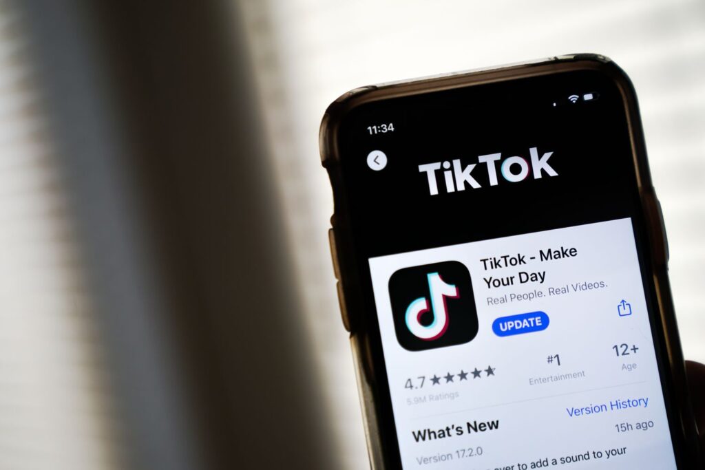 TikTok Private Account Viewer