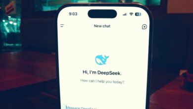 running deepseek ai iphone.jpg