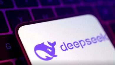 deepseek011.jpg